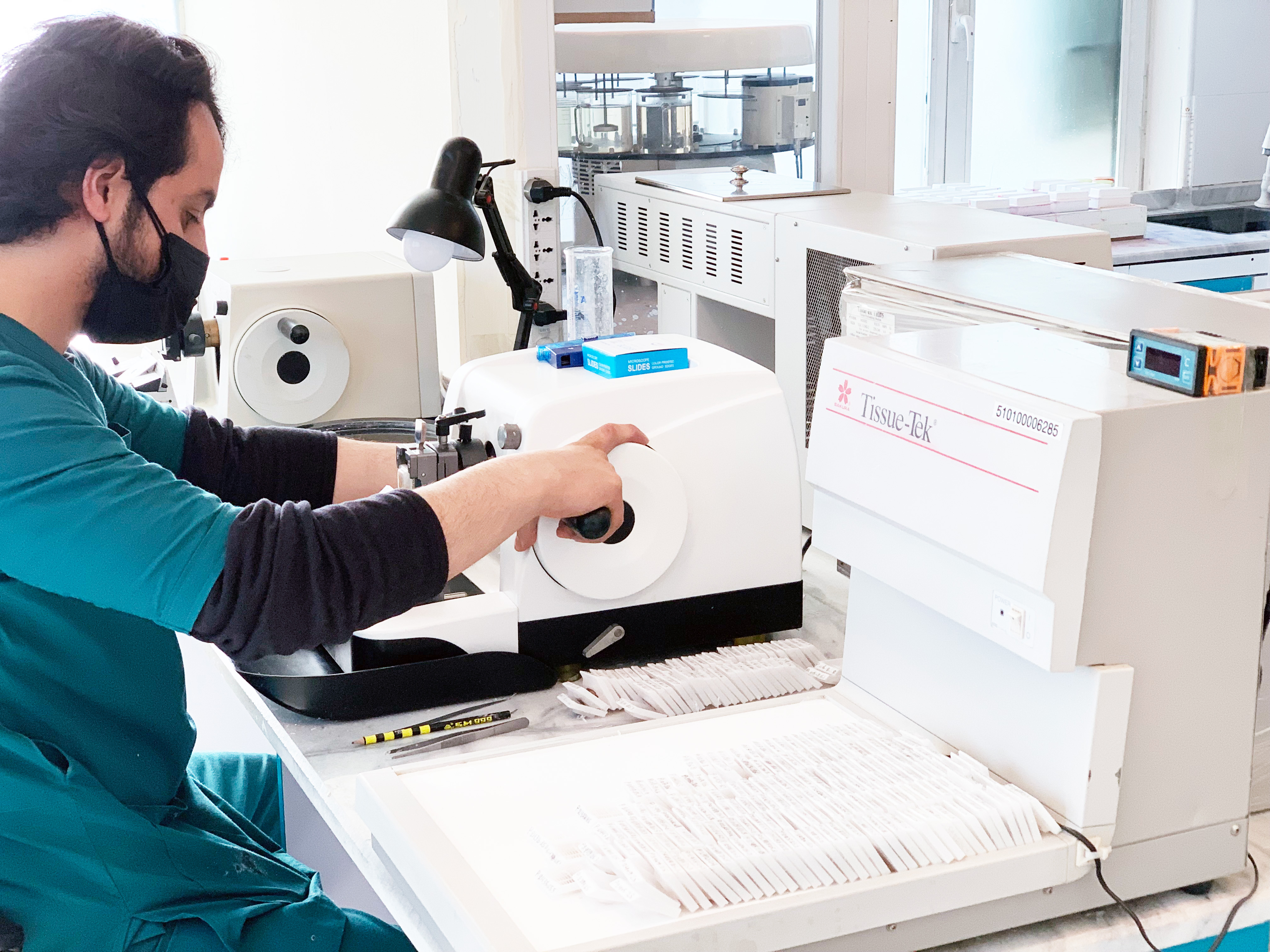 Histopathology Department