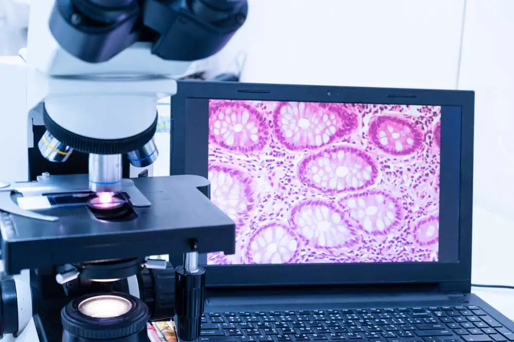 Histopathology Services
